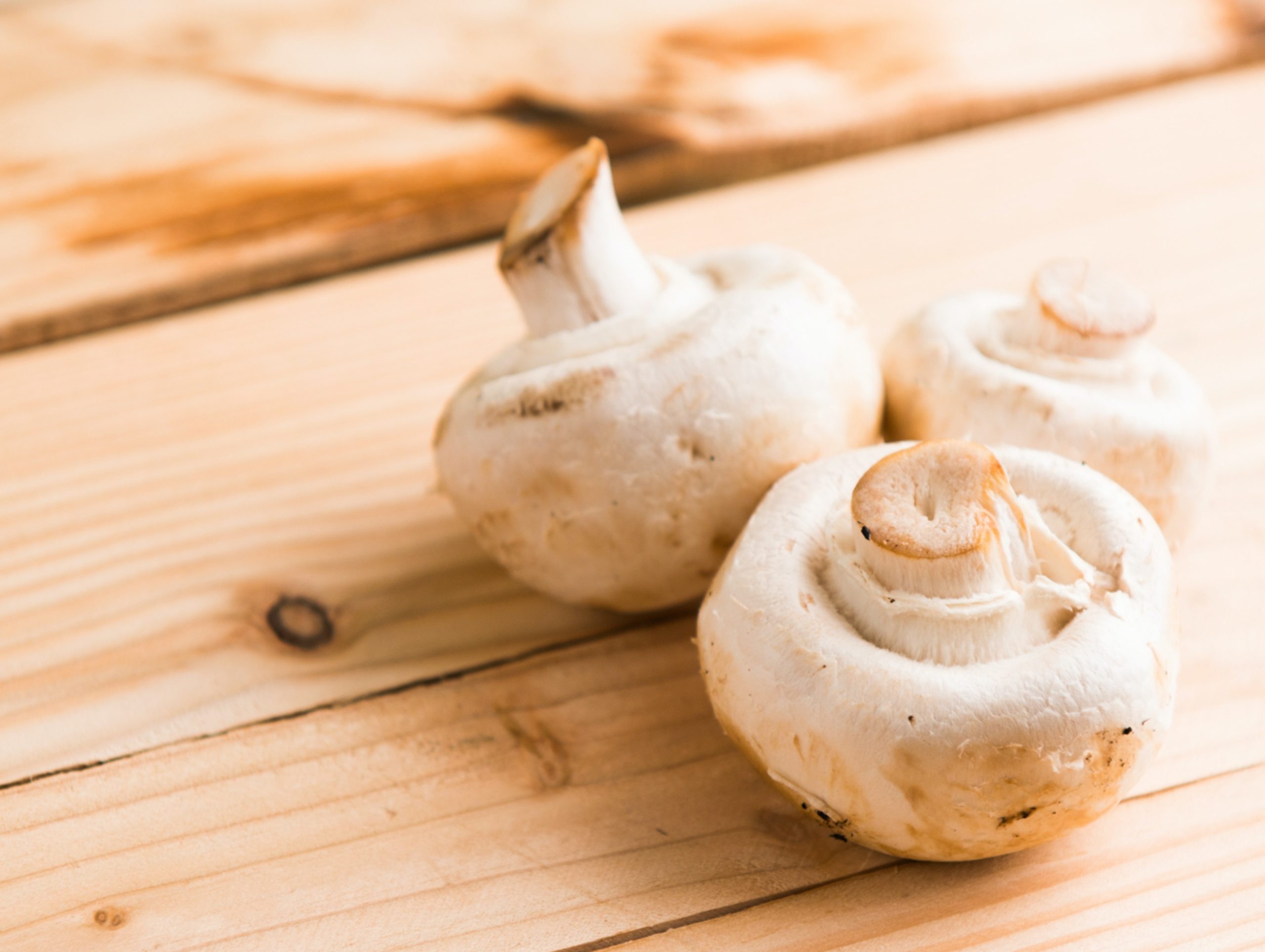 three white mushrooms